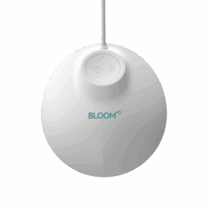 bloom43 product photo